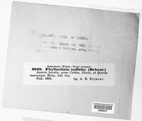 Image Associated With the Occurence